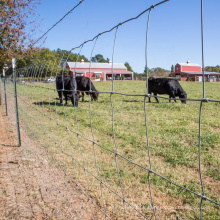 China high tensile heavy zinc coating galvanized 8ft 1800mmx100m sheep field farm fence 1.2